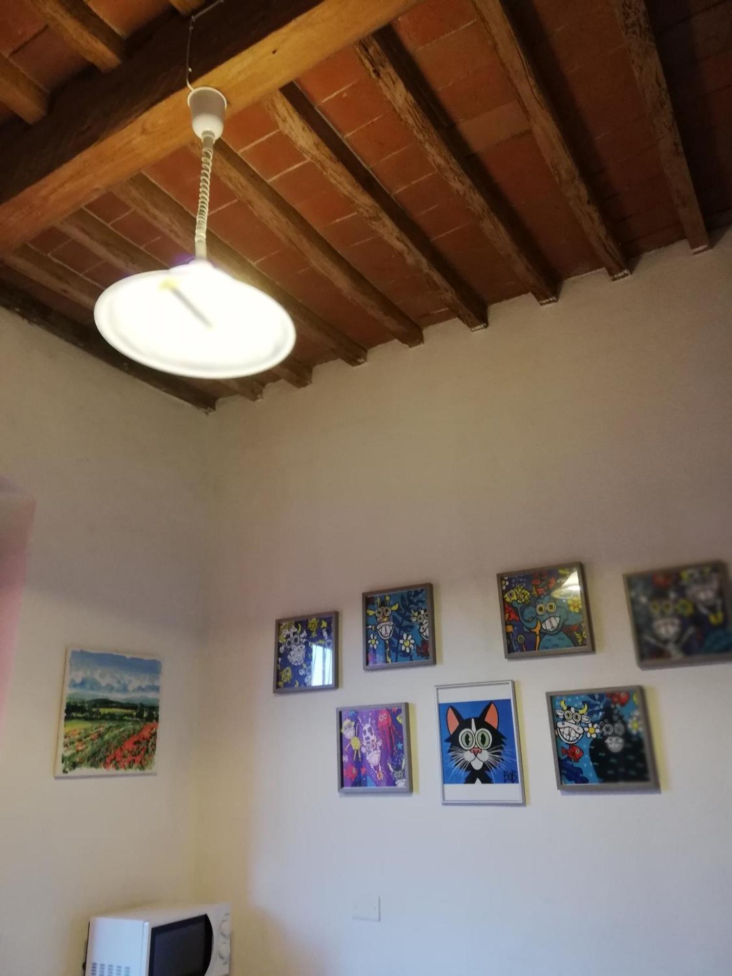 Apartment Casa Patrizia In Cisanello